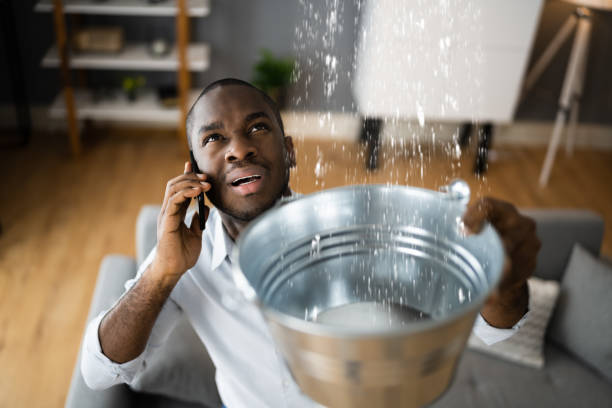 Best Water damage mitigation services  in USA